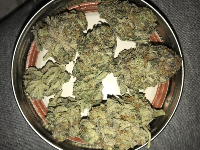 Skittles Hybrid - Indoor AAA Cannabis 20g | Dis-can Johannesburg - image 16