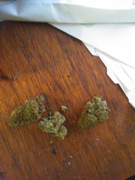 Skittles Hybrid - Indoor AAA Cannabis 20g | Dis-can Johannesburg - image 17