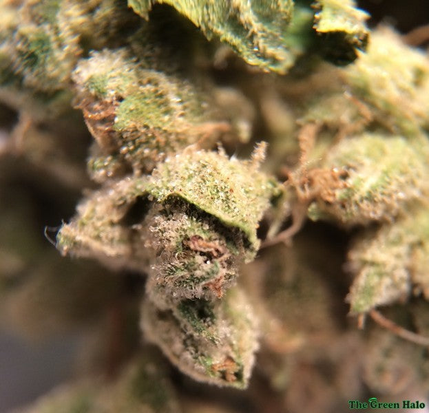 Skywalker Indica - Tunnel Cannabis 3g | Johannesburg | Dis-can - image 1