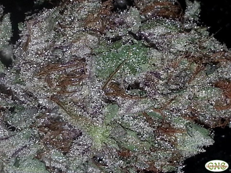 Skywalker Indica - Tunnel Cannabis 3g | Johannesburg | Dis-can - image 23