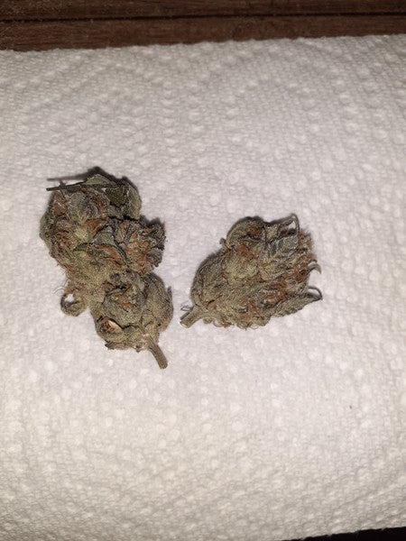 Slow-Mo Potion Hybrid - Indoor AAA Cannabis 5g | Dis-can Johannesburg - image 2