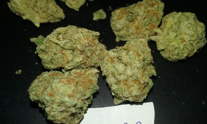 Sour OG Hybrid - Greenhouse Cannabis 10g | Dis-can Johannesburg - image 3