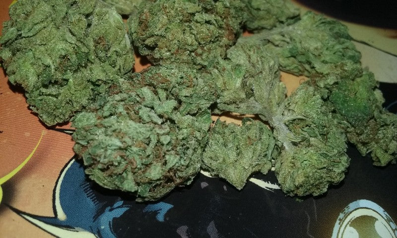 Sour OG Hybrid - Greenhouse Cannabis 10g | Dis-can Johannesburg - image 4