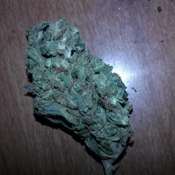 Sour OG Hybrid - Greenhouse Cannabis 10g | Dis-can Johannesburg - image 5