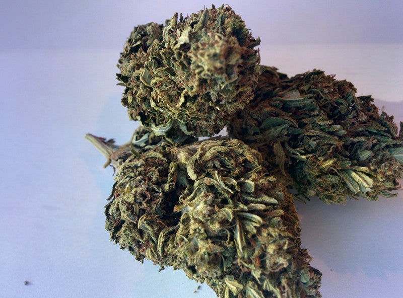 Sour OG Hybrid - Greenhouse Cannabis 10g | Dis-can Johannesburg - image 9