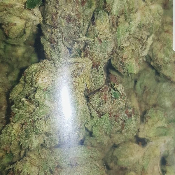Sour OG Hybrid - Greenhouse Cannabis 10g | Dis-can Johannesburg - image 10