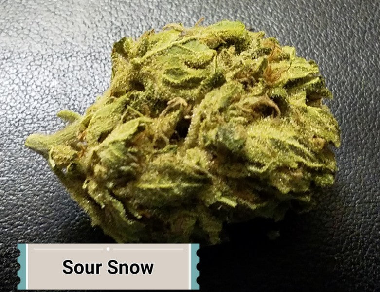 Sour OG Hybrid - Greenhouse Cannabis 10g | Dis-can Johannesburg - image 16