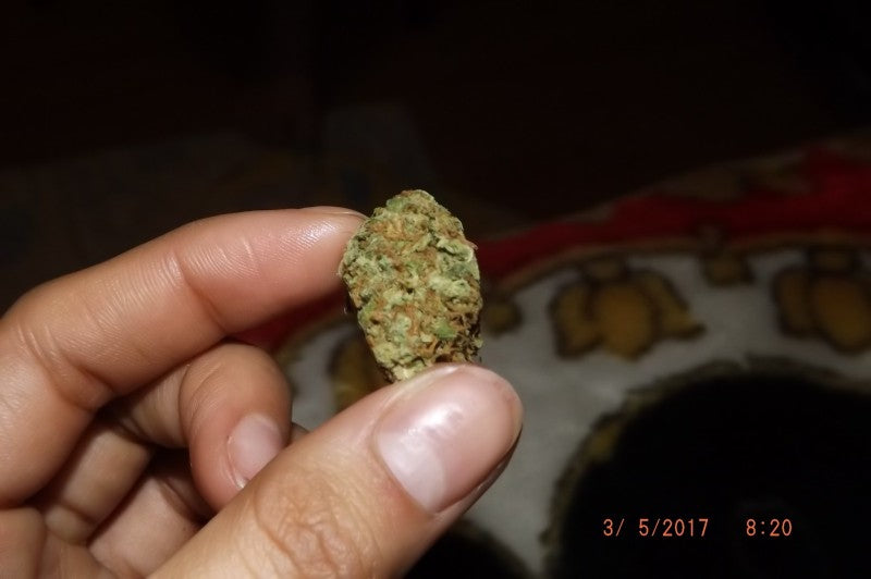 Space Candy Hybrid - Indoor AAA Cannabis 10g | Dis-can Johannesburg