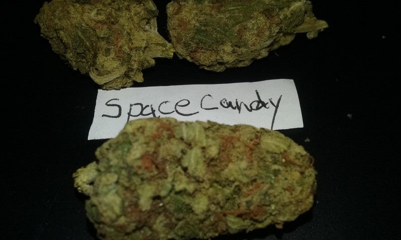 Space Candy Hybrid - Indoor AAA Cannabis 10g | Dis-can Johannesburg - image 4