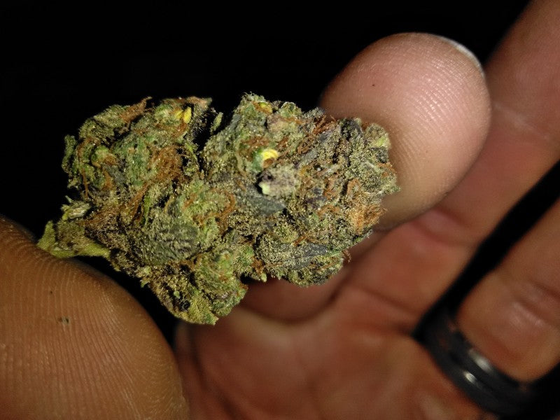 Space Candy Hybrid - Indoor AAA Cannabis 10g | Dis-can Johannesburg - image 5