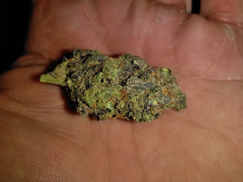 Space Candy Hybrid - Indoor AAA Cannabis 10g | Dis-can Johannesburg