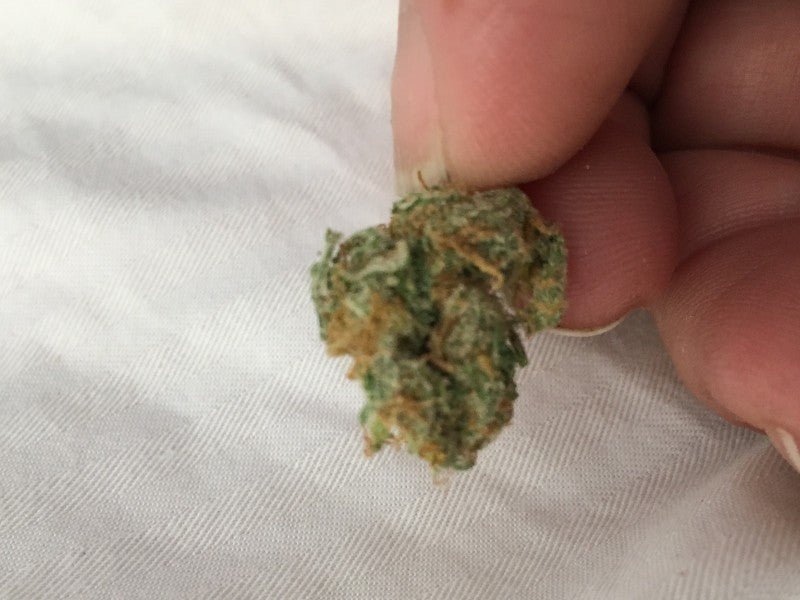 Space Candy Hybrid - Indoor AAA Cannabis 10g | Dis-can Johannesburg