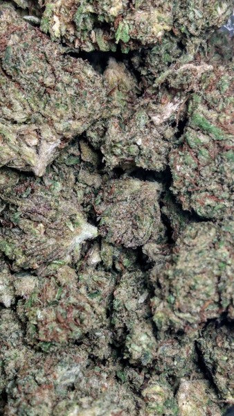 Space Candy Hybrid - Indoor AAA Cannabis 10g | Dis-can Johannesburg