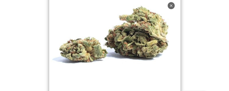 Space Cookies (USA) Hybrid - Indoor AAA Cannabis 1g | Dis-can Johannesburg - image 2