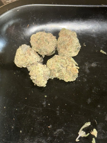 Space Cookies (USA) Hybrid - Indoor AAA Cannabis 1g | Dis-can Johannesburg - image 3