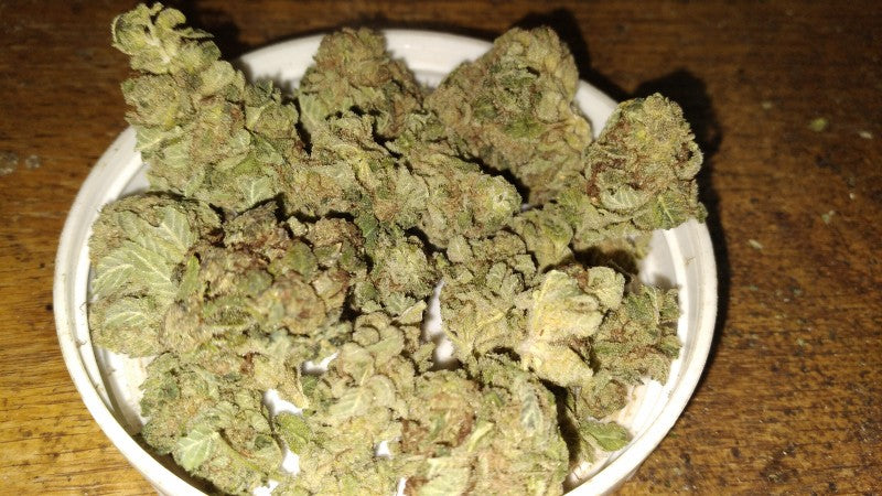Strawberry Melonade Hybrid - Indoor AAA Cannabis 20g | Dis-can Johannesburg - image 2