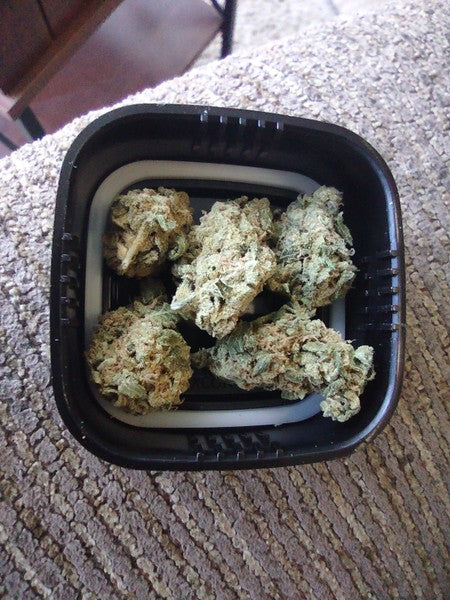 Strawberry Melonade Hybrid - Indoor AAA Cannabis 20g | Dis-can Johannesburg - image 3