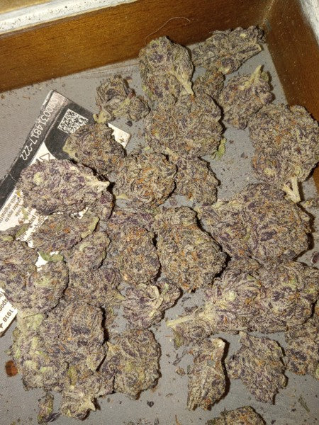 Sunset Hybrid - Tunnel Cannabis 3g | Dis-can Johannesburg - image 2