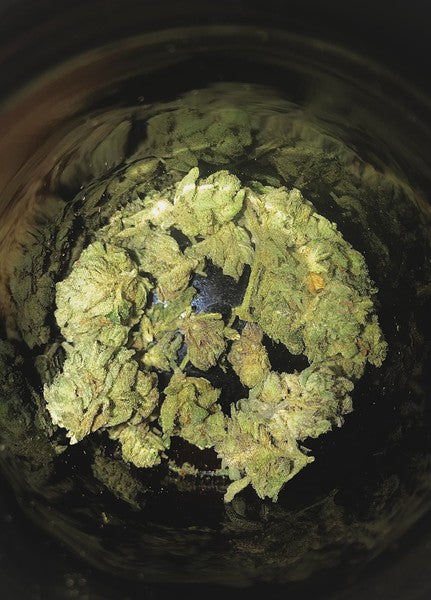 Sunset Hybrid - Tunnel Cannabis 3g | Dis-can Johannesburg - image 4