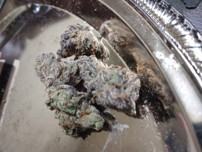 Sunset Hybrid - Tunnel Cannabis 3g | Dis-can Johannesburg - image 5