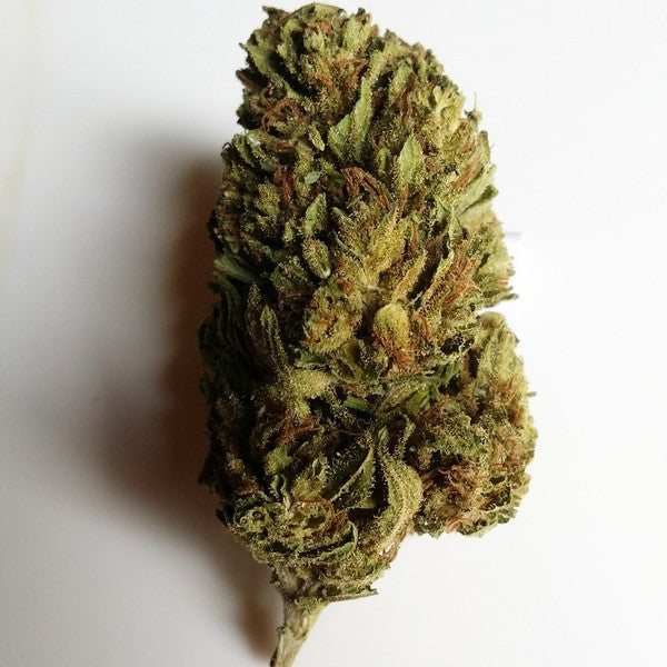 Super Silver Haze Sativa - Greenhouse Cannabis 10g | Johannesburg | Dis-can - image 2