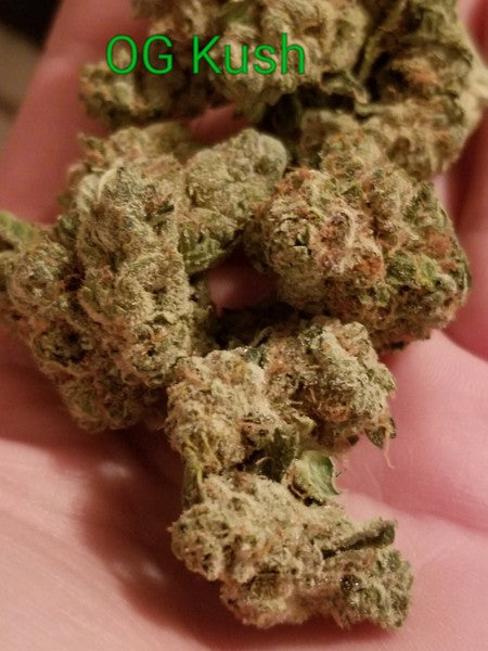 Super Silver Haze Sativa - Greenhouse Cannabis 10g | Johannesburg | Dis-can - image 9