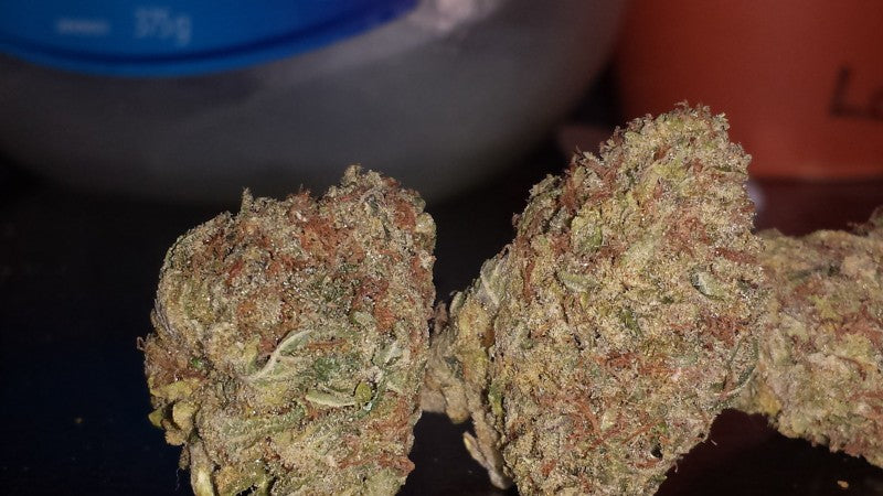 Super Silver Haze Sativa - Greenhouse Cannabis 10g | Johannesburg | Dis-can - image 14