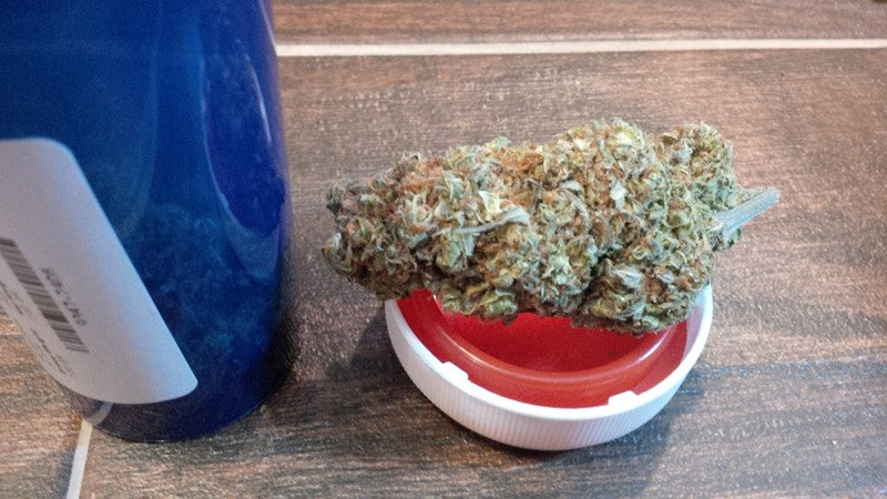 Super Silver Haze Sativa - Greenhouse Cannabis 10g | Johannesburg | Dis-can - image 21