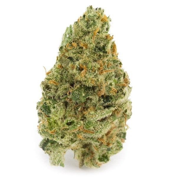 Super Silver Haze Sativa - Greenhouse Cannabis 10g | Johannesburg | Dis-can - image 24