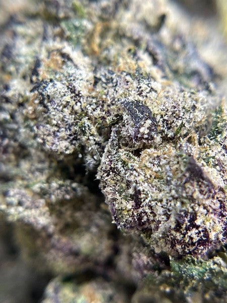 Super Silver Haze Sativa - Greenhouse Cannabis 10g | Johannesburg | Dis-can - image 26