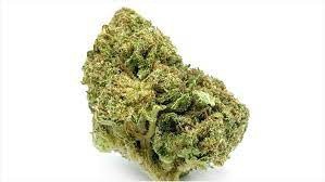 Thai Blue (Thailand) Hybrid - Indoor AAA Cannabis 1g | Dis-can Johannesburg