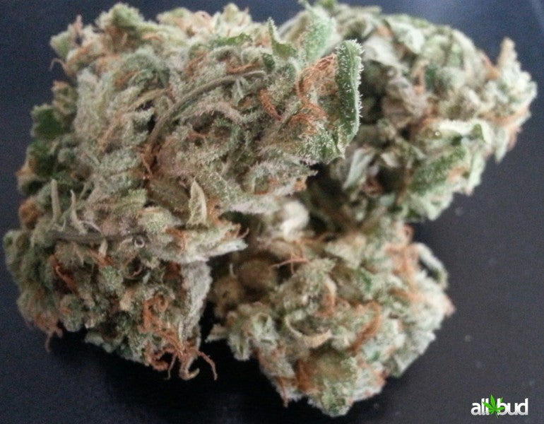 Thai Blue Hybrid - Indoor AAA Cannabis 1g | Dis-can Johannesburg - image 2