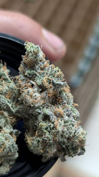 Thai Runts Hybrid - Indoor AAA Cannabis 20g | Dis-can Johannesburg - image 1
