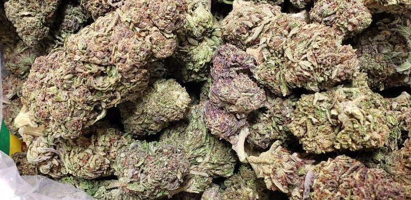 Thai Runts Hybrid - Indoor AAA Cannabis 20g | Dis-can Johannesburg - image 5