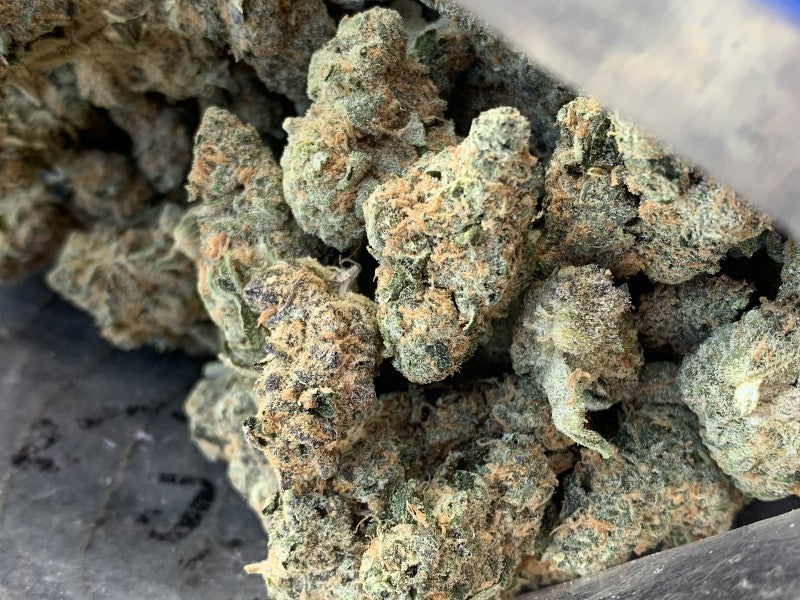 Thai Runts Hybrid - Indoor AAA Cannabis 20g | Dis-can Johannesburg - image 9