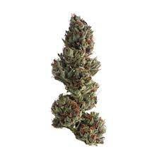 Thai Runts Hybrid - Indoor AAA Cannabis 20g | Dis-can Johannesburg - image 17