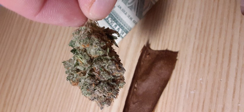 Tigers Milk Hybrid - Indoor AAA Cannabis 20g | Dis-can Johannesburg - image 2