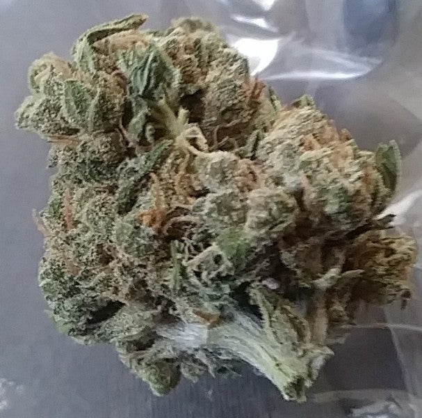 Tigers Milk Hybrid - Indoor AAA Cannabis 20g | Dis-can Johannesburg - image 3