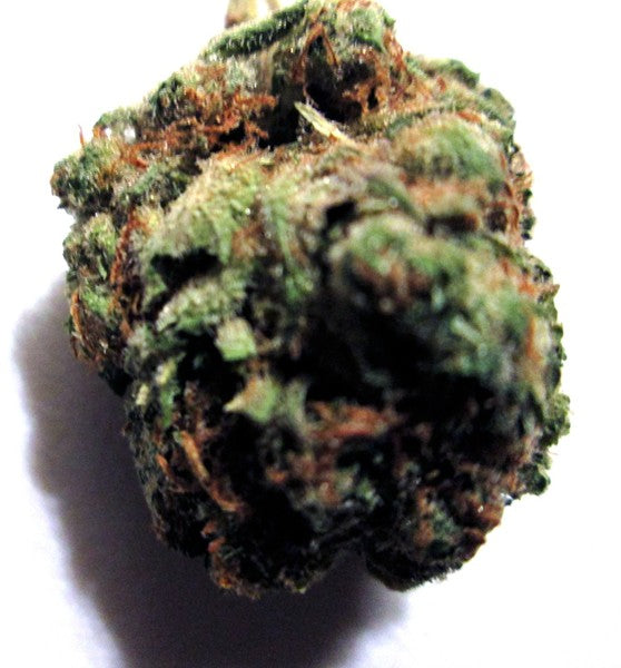 Tigers Milk Hybrid - Indoor AAA Cannabis 20g | Dis-can Johannesburg - image 5