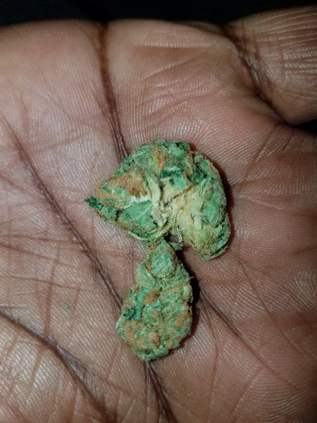 Tigers Milk Hybrid - Indoor AAA Cannabis 20g | Dis-can Johannesburg - image 6