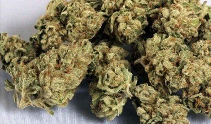 Vader Saber Hybrid - Indoor AAA Cannabis 20g | Dis-can Johannesburg - image 2