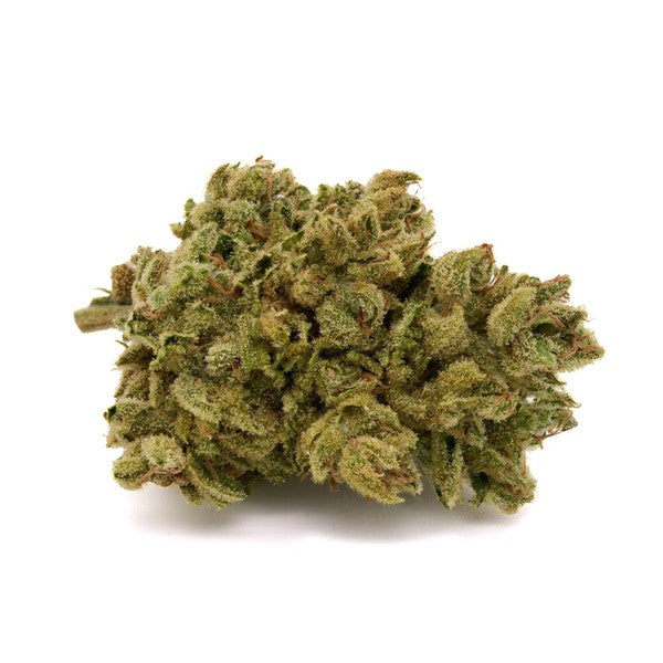 Vanilla Frosting Hybrid - Indoor AAA Cannabis 5g | Dis-can Johannesburg