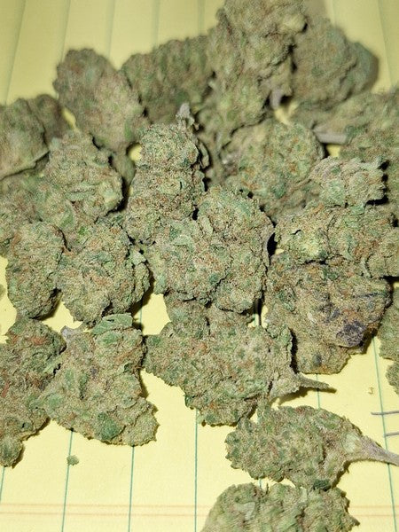Vanilla Frosting Hybrid - Indoor AAA Cannabis 5g | Dis-can Johannesburg
