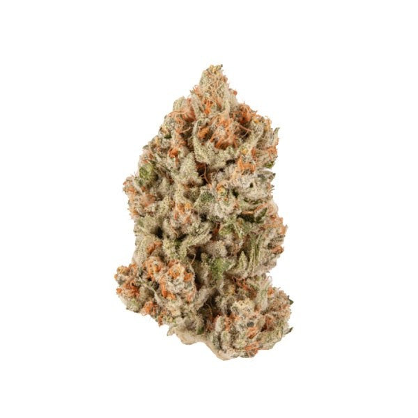 Vanilla Frosting Hybrid - Indoor AAA Cannabis 5g | Dis-can Johannesburg