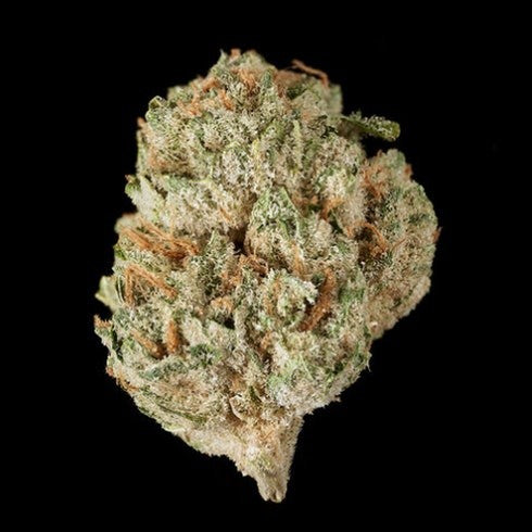 Wedding Cake Hybrid - Popcorn Buds Cannabis 3g | Dis-can Johannesburg - image 1