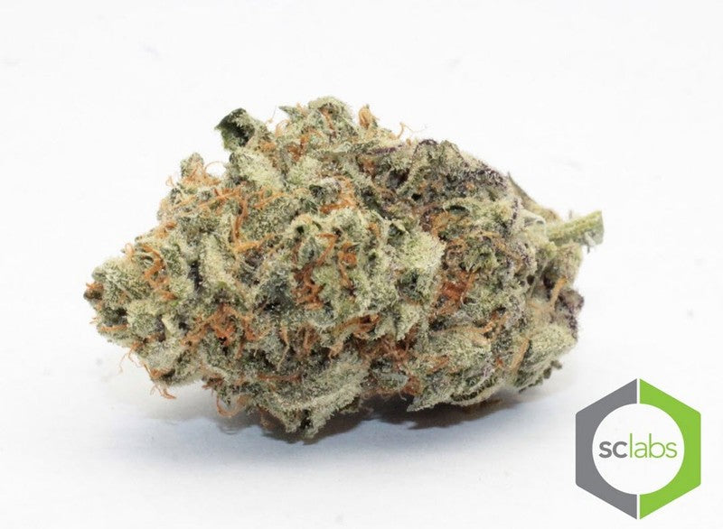 Wedding Cake Hybrid - Popcorn Buds Cannabis 3g | Dis-can Johannesburg - image 2
