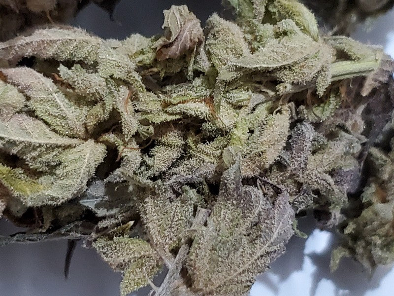 Wedding Cake Hybrid - Popcorn Buds Cannabis 3g | Dis-can Johannesburg - image 4