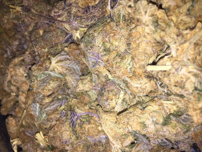 Wedding Cake Hybrid - Popcorn Buds Cannabis 3g | Dis-can Johannesburg - image 22