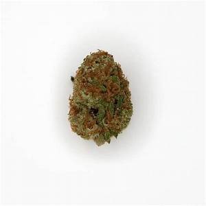Wedding Cake Hybrid - Popcorn Buds Cannabis 3g | Dis-can Johannesburg - image 35