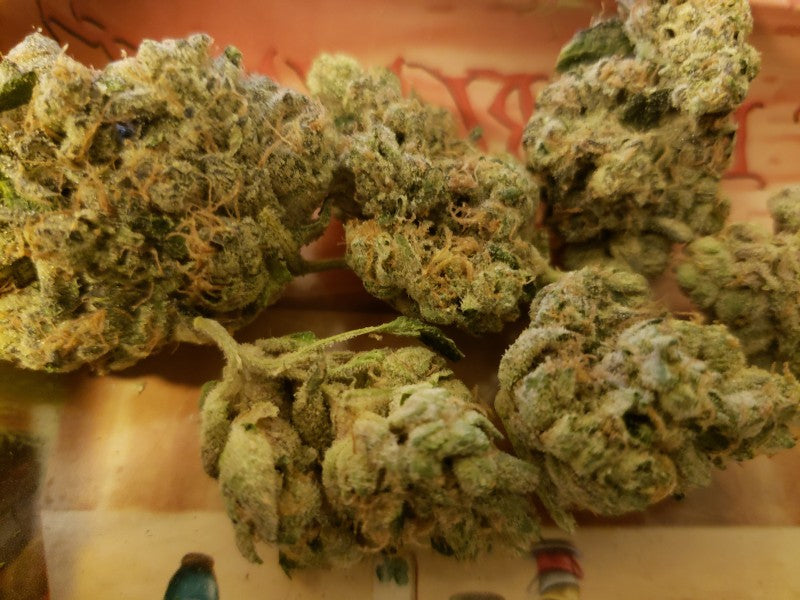 Wedding Cake Hybrid - Popcorn Buds Cannabis 3g | Dis-can Johannesburg - image 37
